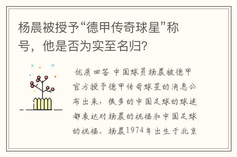 杨晨被授予“德甲传奇球星”称号,他是否为实至名归?