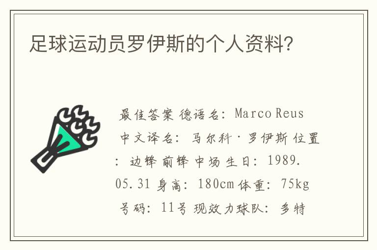 足球运动员罗伊斯的个人资料?