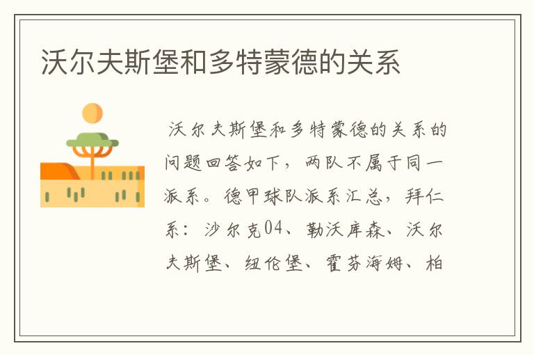 沃尔夫斯堡和多特蒙德的关系