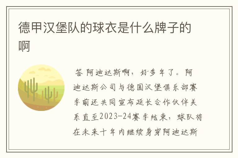 德甲汉堡队的球衣是什么牌子的啊