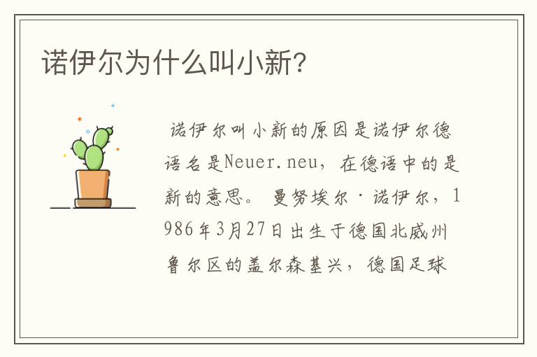 诺伊尔为什么叫小新?