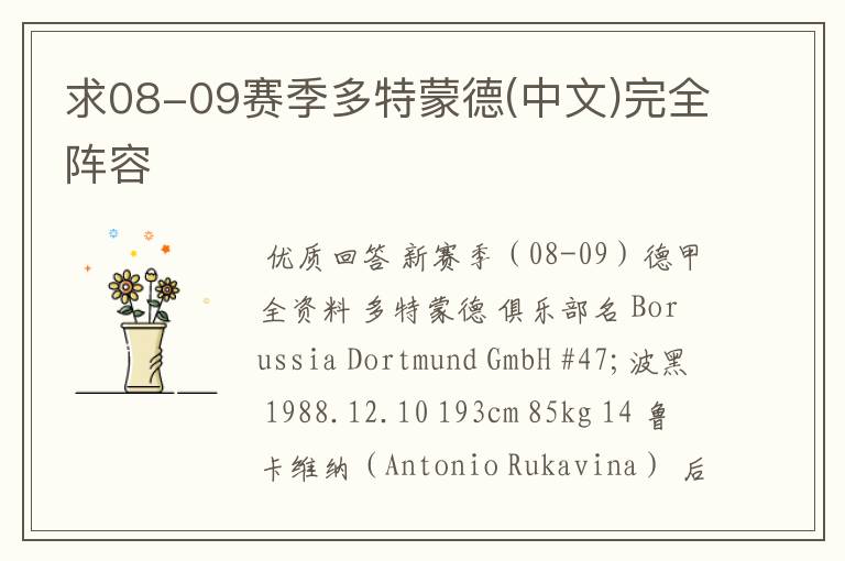 求08-09赛季多特蒙德(中文)完全阵容