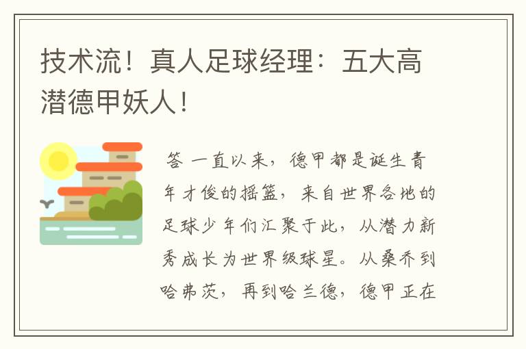 技术流!真人足球经理:五大高潜德甲妖人!