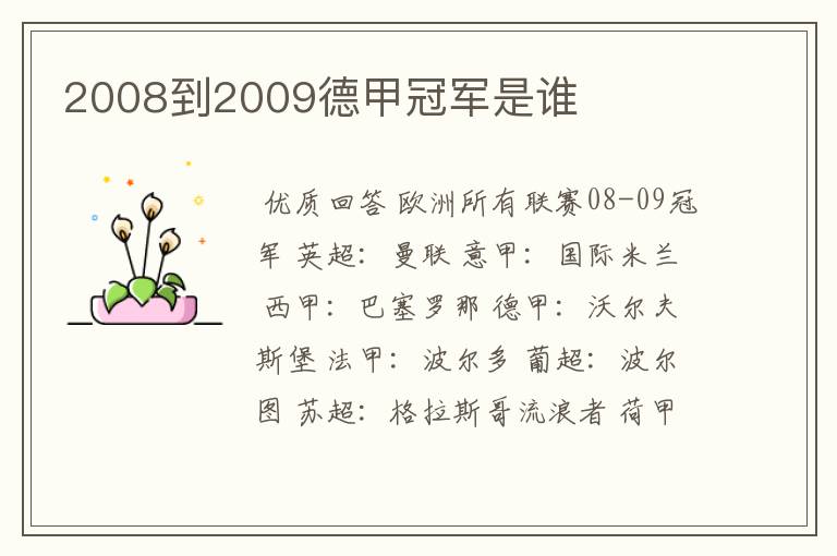 2008到2009德甲冠军是谁
