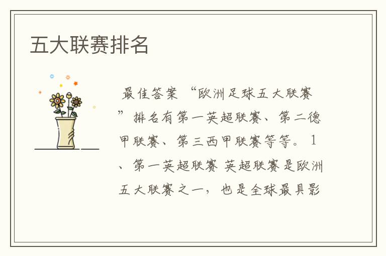五大联赛排名