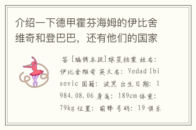 介绍一下德甲霍芬海姆的伊比舍维奇和登巴巴,还有他们的国家队履历