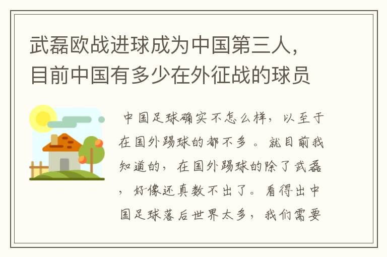 武磊欧战进球成为中国第三人,目前中国有多少在外征战的球员?