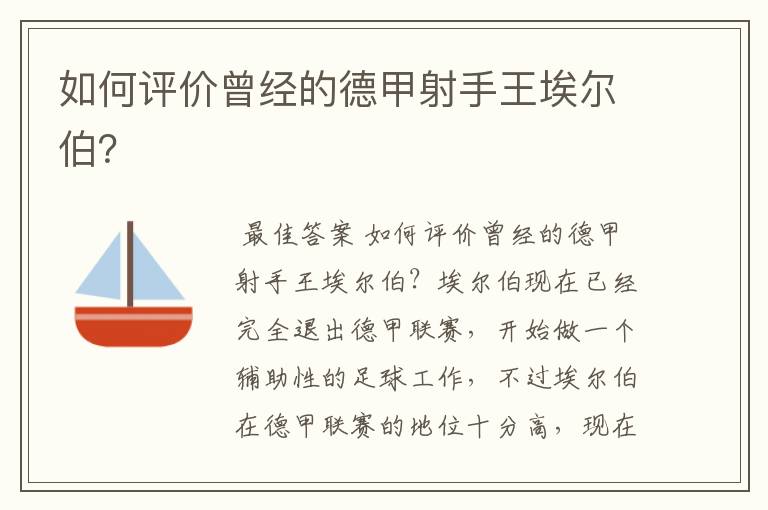 如何评价曾经的德甲射手王埃尔伯?