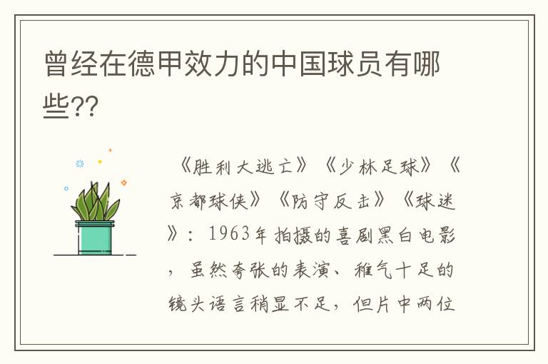 曾经在德甲效力的中国球员有哪些??