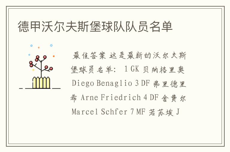 德甲沃尔夫斯堡球队队员名单