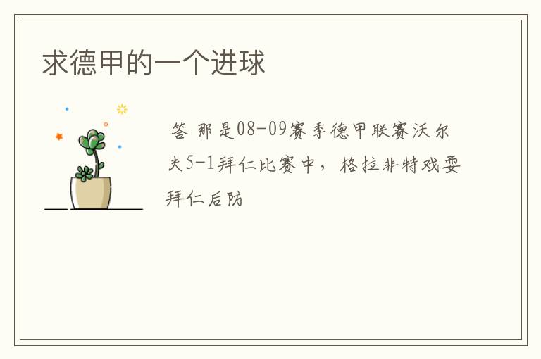 求德甲的一个进球