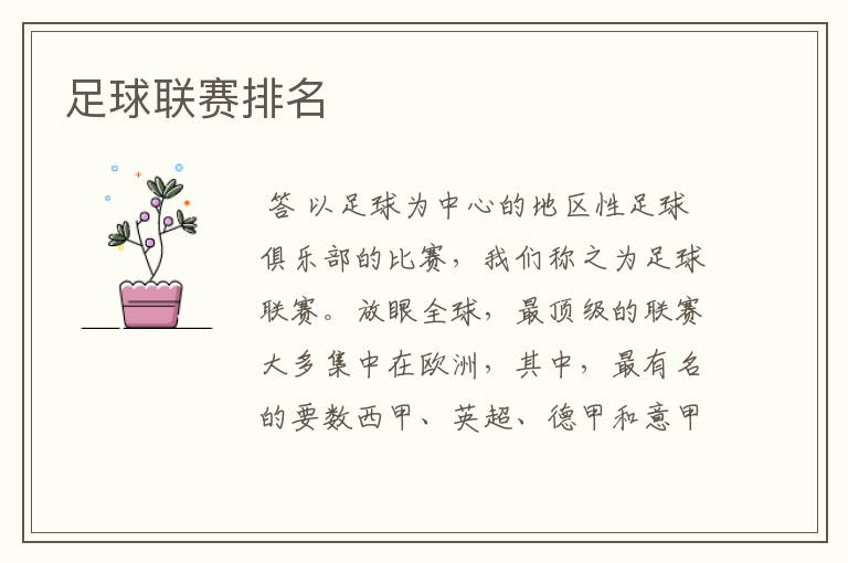 足球联赛排名