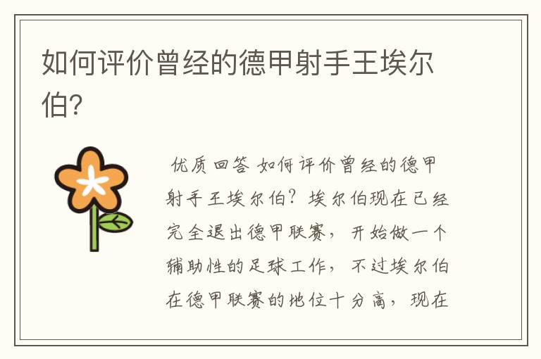 如何评价曾经的德甲射手王埃尔伯?