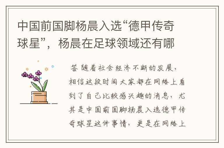 中国前国脚杨晨入选“德甲传奇球星”,杨晨在足球领域还有哪些成就?