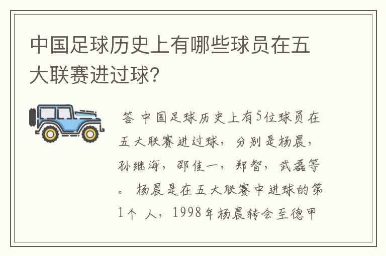 中国足球历史上有哪些球员在五大联赛进过球?