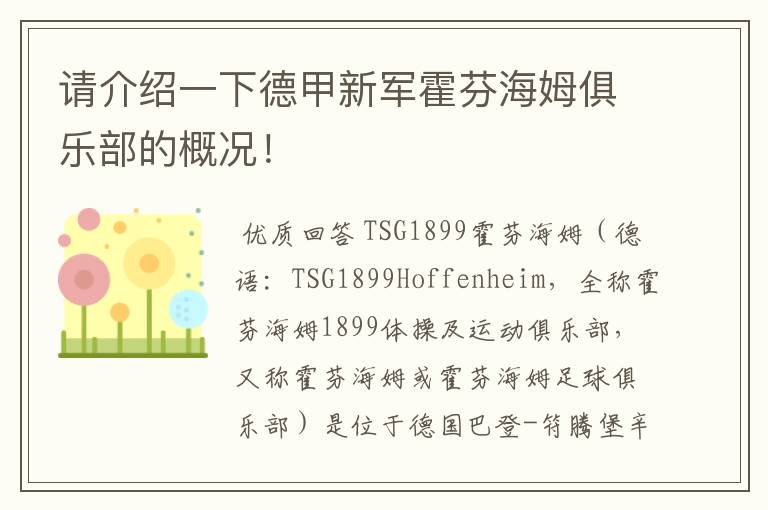 请介绍一下德甲新军霍芬海姆俱乐部的概况!