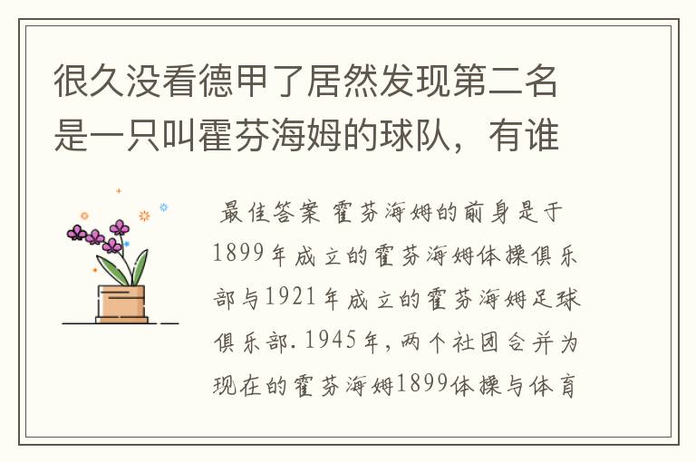 很久没看德甲了居然发现第二名是一只叫霍芬海姆的球队,有谁知道吗