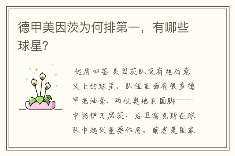 德甲美因茨为何排第一,有哪些球星?