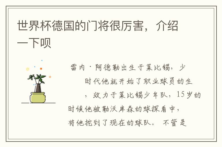世界杯德国的门将很厉害,介绍一下呗