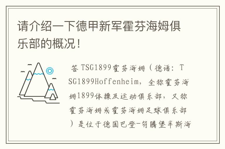 请介绍一下德甲新军霍芬海姆俱乐部的概况!