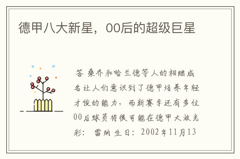 德甲八大新星,00后的超级巨星