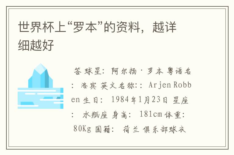 世界杯上“罗本”的资料,越详细越好