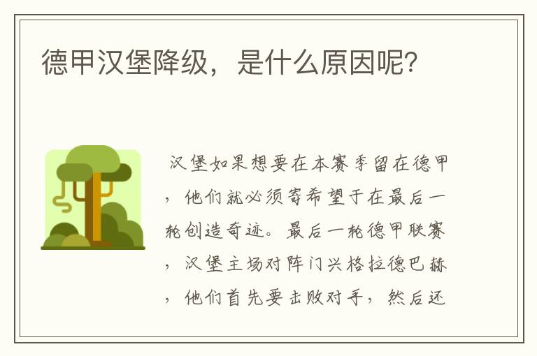 德甲汉堡降级,是什么原因呢?