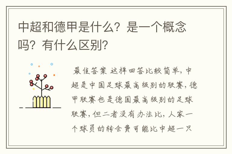 中超和德甲是什么?是一个概念吗?有什么区别?