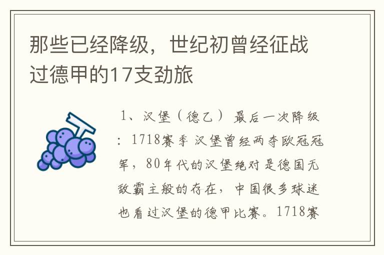 那些已经降级,世纪初曾经征战过德甲的17支劲旅