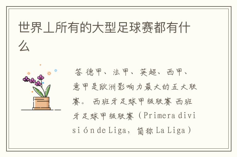 世界丄所有的大型足球赛都有什么