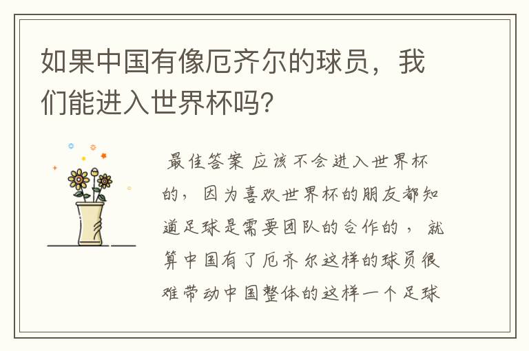 如果中国有像厄齐尔的球员,我们能进入世界杯吗?