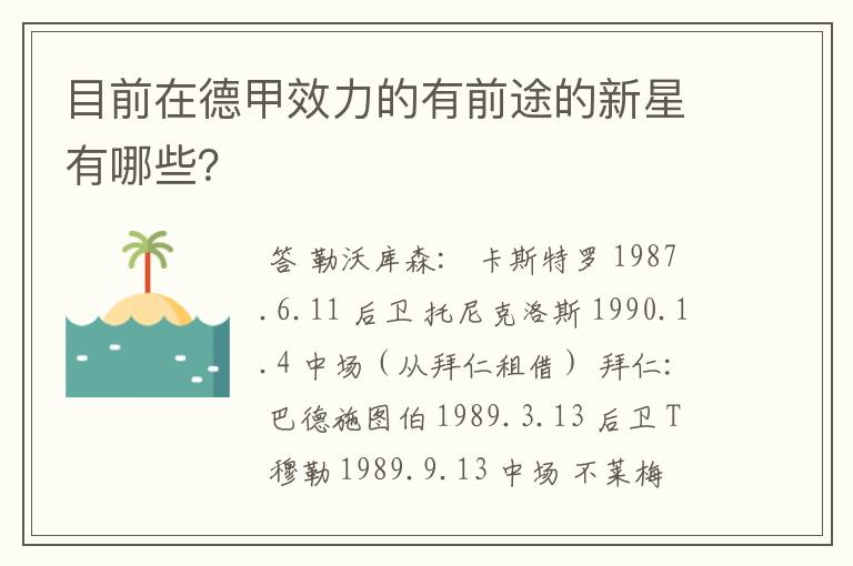目前在德甲效力的有前途的新星有哪些?