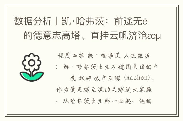 数据分析丨凯·哈弗茨:前途无量的德意志高塔、直挂云帆济沧海