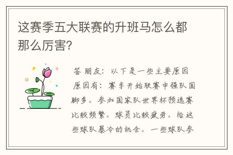 这赛季五大联赛的升班马怎么都那么厉害?