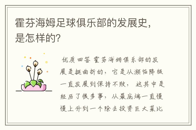 霍芬海姆足球俱乐部的发展史,是怎样的?