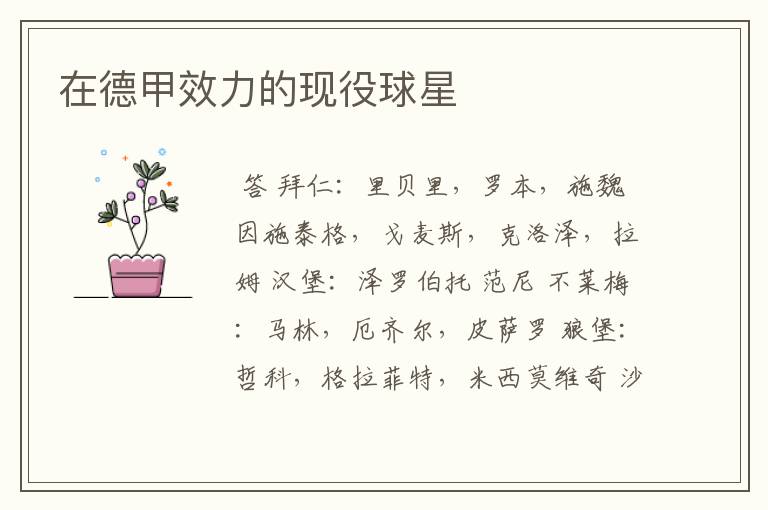 在德甲效力的现役球星