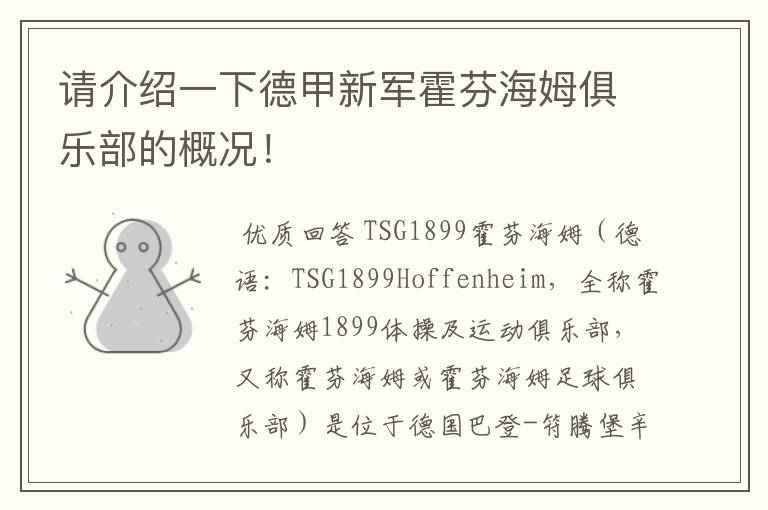 请介绍一下德甲新军霍芬海姆俱乐部的概况！