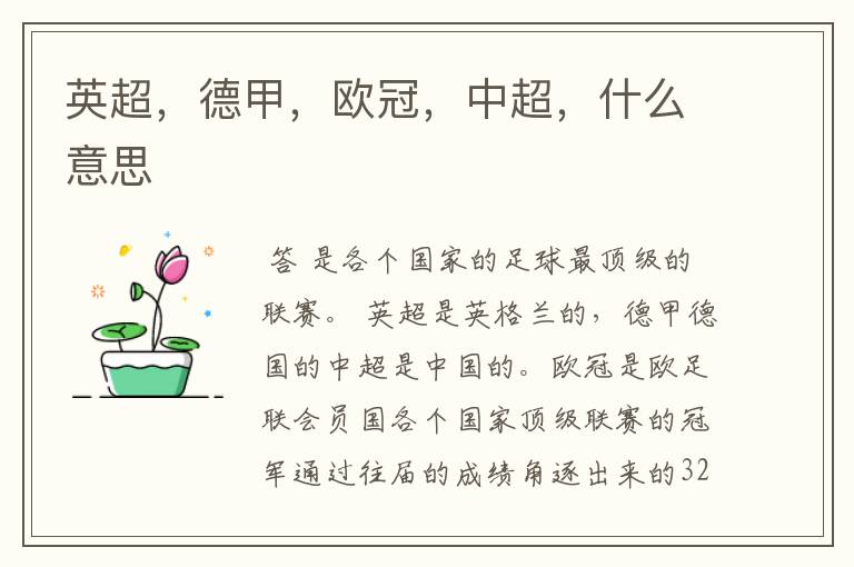 英超,德甲,欧冠,中超,什么意思