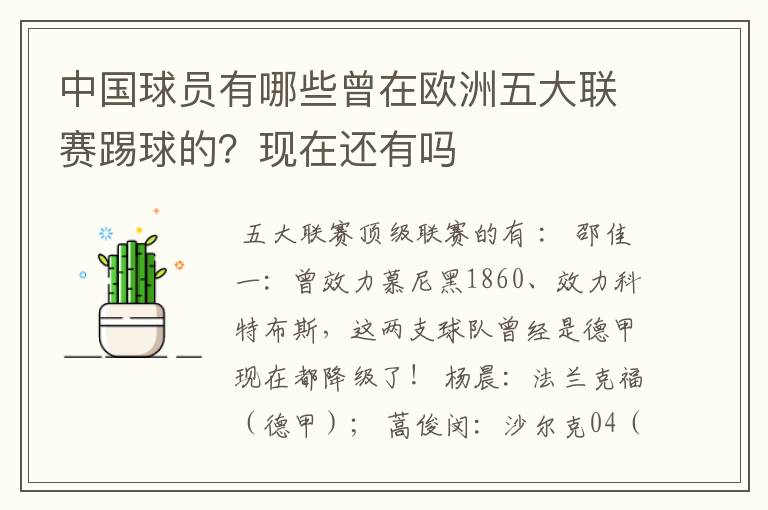 中国球员有哪些曾在欧洲五大联赛踢球的?现在还有吗