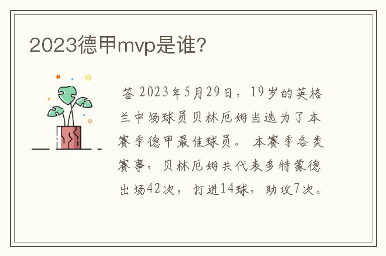 2023德甲mvp是谁?