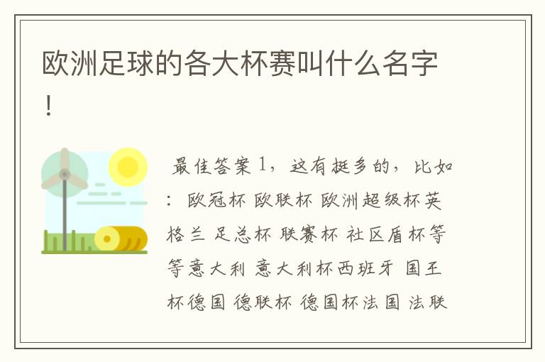 欧洲足球的各大杯赛叫什么名字!