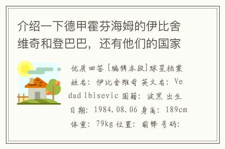 介绍一下德甲霍芬海姆的伊比舍维奇和登巴巴,还有他们的国家队履历