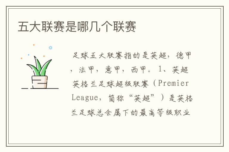 五大联赛是哪几个联赛