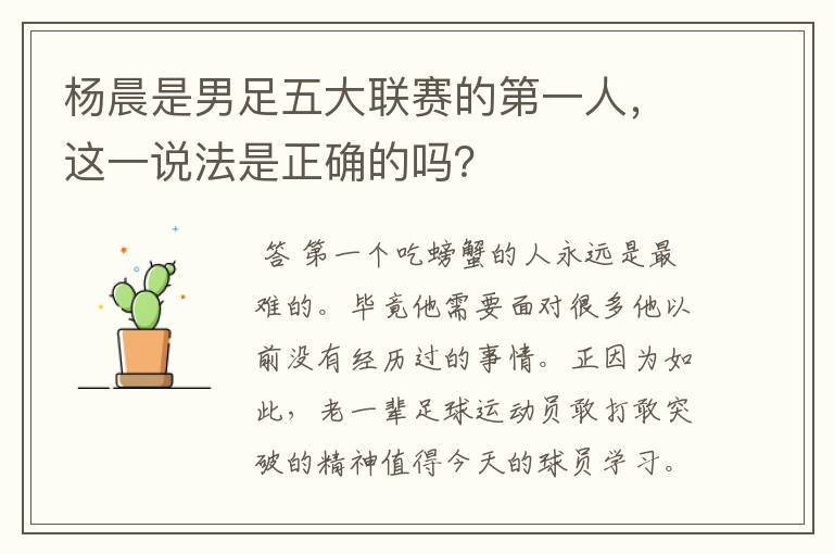 杨晨是男足五大联赛的第一人,这一说法是正确的吗?