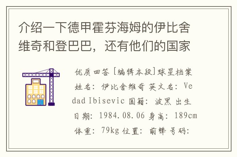 介绍一下德甲霍芬海姆的伊比舍维奇和登巴巴,还有他们的国家队履历