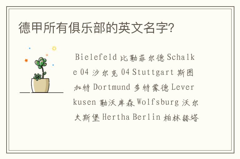 德甲所有俱乐部的英文名字?