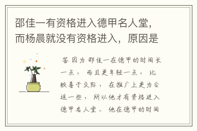 邵佳一有资格进入德甲名人堂,而杨晨就没有资格进入,原因是什么?