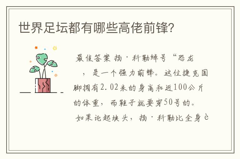 世界足坛都有哪些高佬前锋?