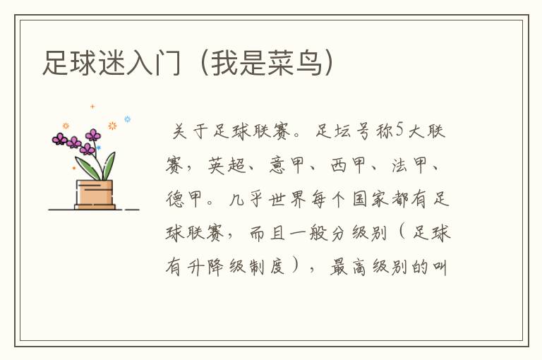 足球迷入门(我是菜鸟)
