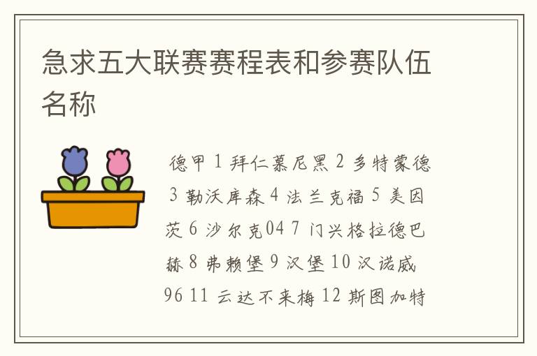 急求五大联赛赛程表和参赛队伍名称